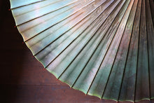 画像をギャラリービューアに読み込む, 蛇の目傘【かすみ染め（グリーン系）】
