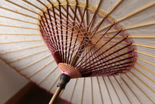 Load image into Gallery viewer, Parasol [Eaves Blurred Pink Green]
