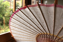 Load image into Gallery viewer, Parasol [Eaves Blurred Pink Green]
