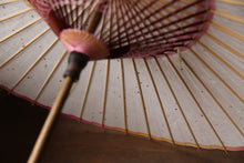 Load image into Gallery viewer, Parasol [Eaves Blurred Pink Green]
