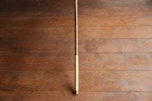 Load image into Gallery viewer, Parasol [Eaves Blurred Pink Green]
