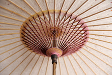 Load image into Gallery viewer, Parasol [Eaves Blurred Pink Green]
