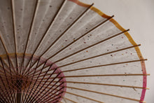 Load image into Gallery viewer, Parasol [Eaves Blurred Pink Green]
