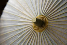 画像をギャラリービューアに読み込む, 日傘【二重張　胡粉×ぼかし染め（ブルーイエロー）】
