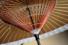 画像をギャラリービューアに読み込む, 蛇の目傘【軒奴　柿渋(黒柿)×白胡粉】（グレー）
