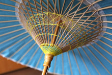 画像をギャラリービューアに読み込む, 日傘【水色（軒カラフルB）】
