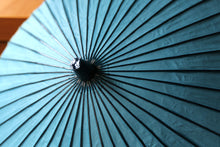 画像をギャラリービューアに読み込む, 日傘【水色（軒カラフルB）】
