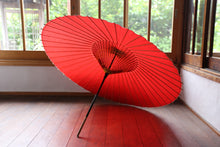 画像をギャラリービューアに読み込む, 蛇の目傘【赤】
