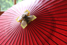 画像をギャラリービューアに読み込む, 蛇の目傘【赤】
