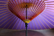 画像をギャラリービューアに読み込む, 蛇の目傘【紫】
