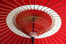 画像をギャラリービューアに読み込む, 蛇の目傘【中張　赤×白胡粉】
