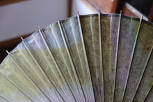 Cargar imagen en el visor de la galería, Sombrilla [de doble capa, teñida irregularmente, de color blanco verdoso].
