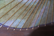 Cargar imagen en el visor de la galería, Sombrilla [de doble capa, teñida irregularmente, de color blanco verdoso].
