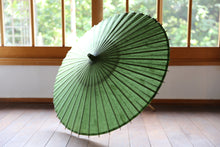 画像をギャラリービューアに読み込む, 日傘【二重張　緑×藍の葉】
