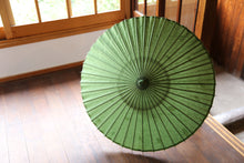 画像をギャラリービューアに読み込む, 日傘【二重張　緑×藍の葉】
