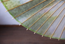 画像をギャラリービューアに読み込む, 日傘【二重張　ムラ染　ライム×白】
