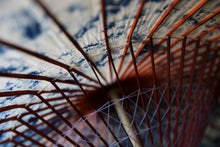 画像をギャラリービューアに読み込む, 蛇の目傘【ギャラクシー（赤骨）】 （女竹） - 和傘CASA
