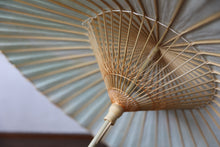 画像をギャラリービューアに読み込む, 日傘【二重張 かすみ染め グリーンイエロー×白】（女竹）
