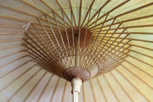 画像をギャラリービューアに読み込む, 日傘【二重張 かすみ染め 菜の花×白】（女竹）
