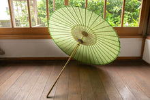 画像をギャラリービューアに読み込む, 日傘【二重張　透かし文様「唐草」×グリーン】 - 和傘CASA
