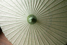 画像をギャラリービューアに読み込む, 日傘【二重張　透かし文様「唐草」×グリーン】 - 和傘CASA
