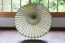 Cargar imagen en el visor de la galería, 日傘【網代 かすみ染め イエローグリーン】 - 和傘CASA
