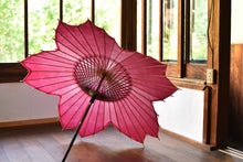 画像をギャラリービューアに読み込む, 日傘【桜和傘　レンタル】 - 和傘CASA
