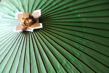 画像をギャラリービューアに読み込む, 蛇の目傘【若草色】 - 和傘CASA
