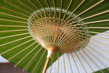 画像をギャラリービューアに読み込む, 日傘【縞帯　鶯×花柄】
