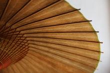 Load image into Gallery viewer, Janome Umbrella [Kakishibu-zome (black persimmon)] (Green)
