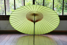 画像をギャラリービューアに読み込む, 蛇の目傘【若草】 - 和傘CASA
