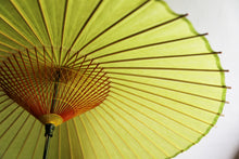 画像をギャラリービューアに読み込む, 蛇の目傘【若草】 - 和傘CASA
