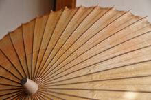 画像をギャラリービューアに読み込む, 日傘【網代 かすみ染め オレンジピンクⅡ】 - 和傘CASA
