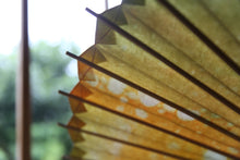 将图片加载到图库查看器，遮阳伞【Ajiro Double Lined Kasumi Dyeed Orange】
