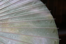 画像をギャラリービューアに読み込む, 日傘【二重張 かすみ染め グリーンイエロー】
